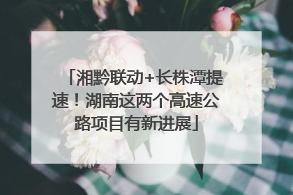 湘黔联动+长株潭提速！湖南这两个高速公路项目有新进展