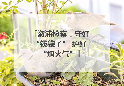 溆浦检察：守好“钱袋子” 护好“烟火气”