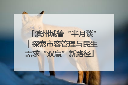 滨州城管“半月谈”｜探索市容管理与民生需求“双赢”新路径