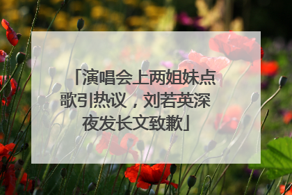 演唱会上两姐妹点歌引热议，刘若英深夜发长文致歉
