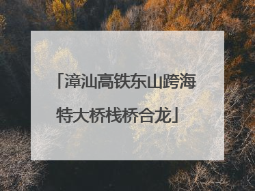 漳汕高铁东山跨海特大桥栈桥合龙