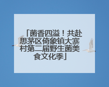 菌香四溢！共赴思茅区倚象镇大寨村第二届野生菌美食文化季