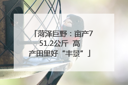 菏泽巨野：亩产751.2公斤  高产田里好“丰景”