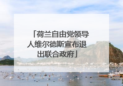 荷兰自由党领导人维尔德斯宣布退出联合政府