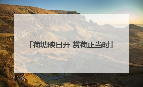 荷塘映日开 赏荷正当时