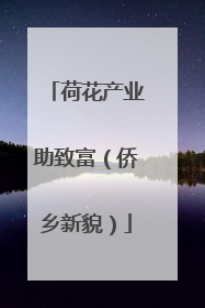 荷花产业助致富（侨乡新貌）