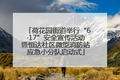 荷花园街道举行“6·17”安全宣传活动暨恒达社区微型消防站应急小分队启动式