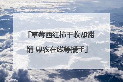 草莓西红柿丰收却滞销 果农在线等援手