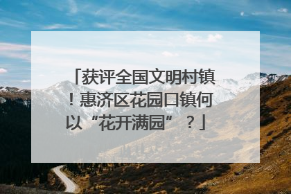获评全国文明村镇！惠济区花园口镇何以“花开满园”？
