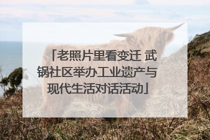 老照片里看变迁 武锅社区举办工业遗产与现代生活对话活动