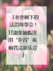老枣树下的法治故事会！甘肃张掖临泽用“乡音”奏响普法新乐章