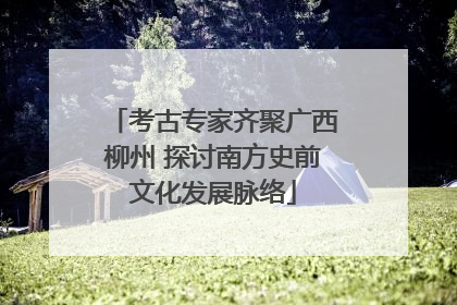 考古专家齐聚广西柳州 探讨南方史前文化发展脉络