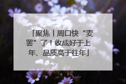 聚焦丨周口快“麦罢”了！收成好于上年、品质高于往年