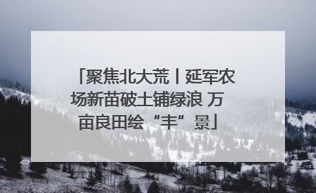 聚焦北大荒丨延军农场新苗破土铺绿浪 万亩良田绘“丰”景
