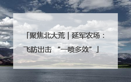 聚焦北大荒｜延军农场：飞防出击 “一喷多效”