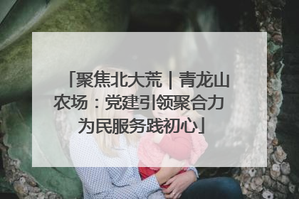 聚焦北大荒｜青龙山农场：党建引领聚合力 为民服务践初心