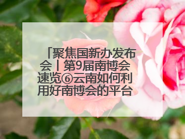 聚焦国新办发布会丨第9届南博会速览⑥云南如何利用好南博会的平台带动作用，深化与南亚国家的交流与合作？