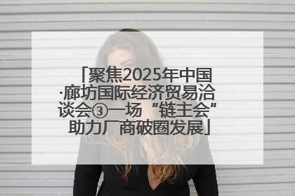 聚焦2025年中国·廊坊国际经济贸易洽谈会③一场“链主会” 助力厂商破圈发展