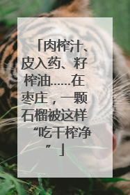 肉榨汁、皮入药、籽榨油……在枣庄，一颗石榴被这样“吃干榨净”