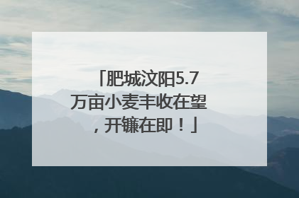 肥城汶阳5.7万亩小麦丰收在望，开镰在即！