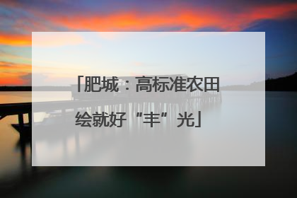 肥城：高标准农田绘就好“丰”光