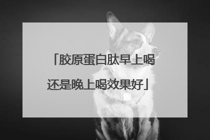 胶原蛋白肽早上喝还是晚上喝效果好
