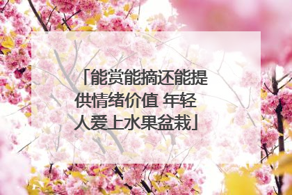 能赏能摘还能提供情绪价值 年轻人爱上水果盆栽