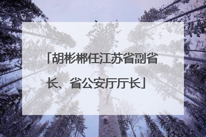 胡彬郴任江苏省副省长、省公安厅厅长