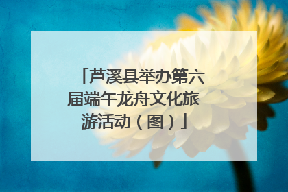 芦溪县举办第六届端午龙舟文化旅游活动（图）