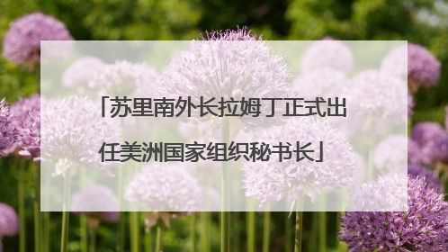 苏里南外长拉姆丁正式出任美洲国家组织秘书长
