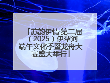 苏韵伊情·第二届（2025）伊犁河端午文化季暨龙舟大赛盛大举行