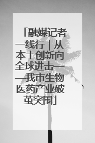 融媒记者一线行｜从本土创新向全球进击——我市生物医药产业破茧突围