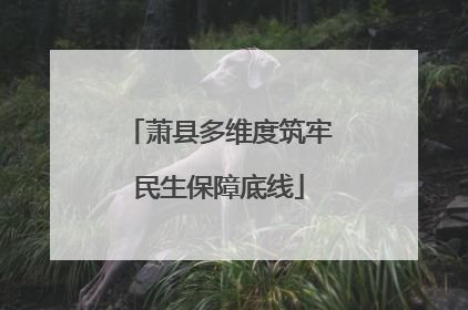 萧县多维度筑牢民生保障底线