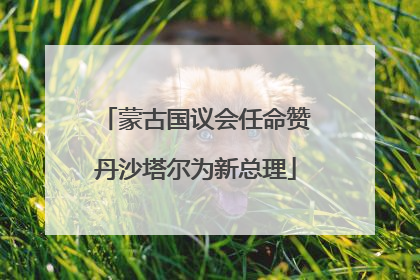 蒙古国议会任命赞丹沙塔尔为新总理