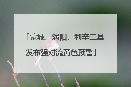 蒙城、涡阳、利辛三县发布强对流黄色预警