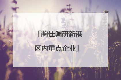 蔺佳调研新港区内重点企业