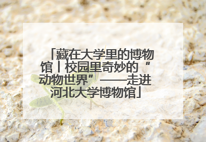 藏在大学里的博物馆丨校园里奇妙的“动物世界”——走进河北大学博物馆
