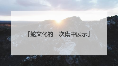蛇文化的一次集中展示