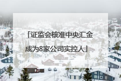 证监会核准中央汇金成为8家公司实控人