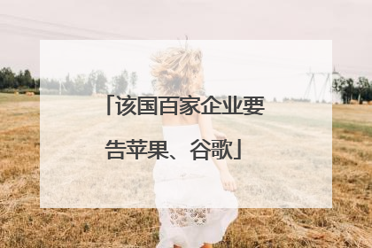 该国百家企业要告苹果、谷歌