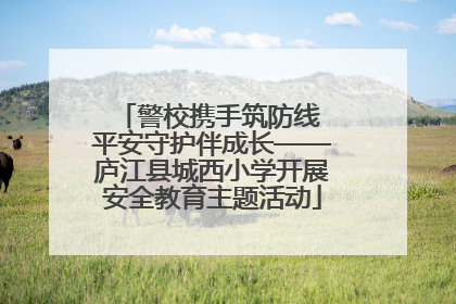 警校携手筑防线 平安守护伴成长——庐江县城西小学开展安全教育主题活动