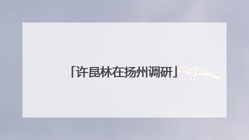 许昆林在扬州调研