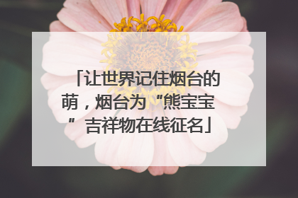 让世界记住烟台的萌，烟台为“熊宝宝”吉祥物在线征名