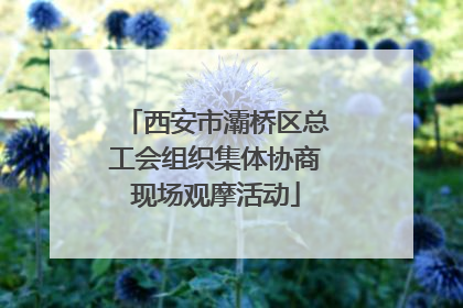 西安市灞桥区总工会组织集体协商现场观摩活动