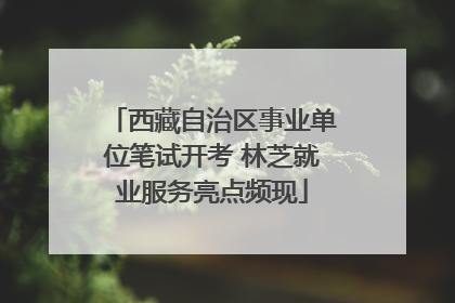 西藏自治区事业单位笔试开考 林芝就业服务亮点频现