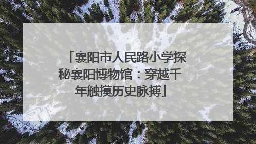 襄阳市人民路小学探秘襄阳博物馆：穿越千年触摸历史脉搏
