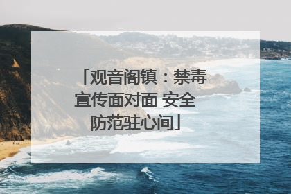 观音阁镇：禁毒宣传面对面 安全防范驻心间