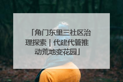 角门东里三社区治理探索｜代建代管推动荒地变花园