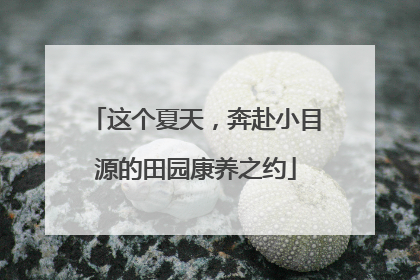 这个夏天，奔赴小目源的田园康养之约