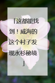 这都能找到！威海的这个村子发现水杉秘境